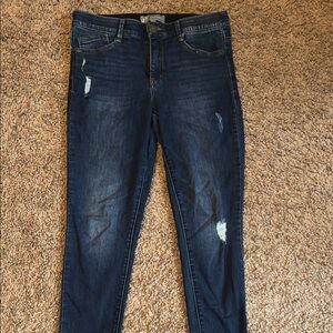 Wit & Wisdom Blue Ankle Cropped Jeans